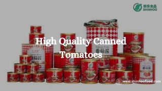 High Quality Canned Tomatoes