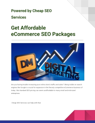 Get Affordable eCommerce SEO Packages
