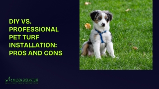 DIY VS. PROFESSIONAL PET TURF INSTALLATION: PROS AND CONS