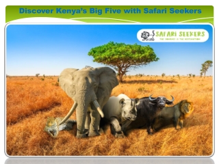 Discover Kenya’s Big Five with Safari Seekers