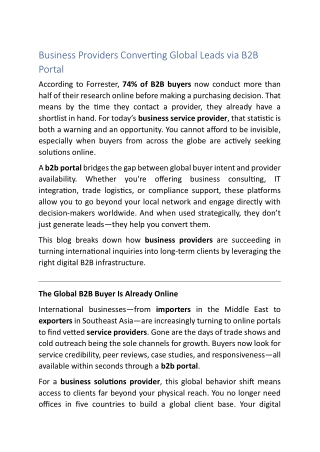 Business Providers Converting Global Leads via B2B Portal