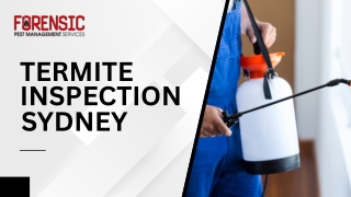 Termite Inspection Sydney