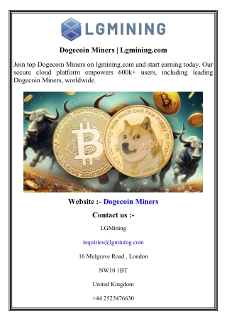 Dogecoin Miners   Lgmining.com