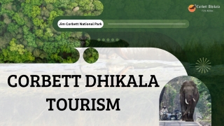 Book Your Adventure with Canter Safari Booking | Corbett Dhikala Tourism