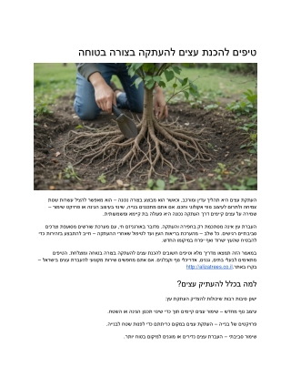 How to Transplant Trees Safely Expert Tips for Success