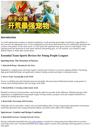Necessary Team Sports Equipment for Young People Leagues