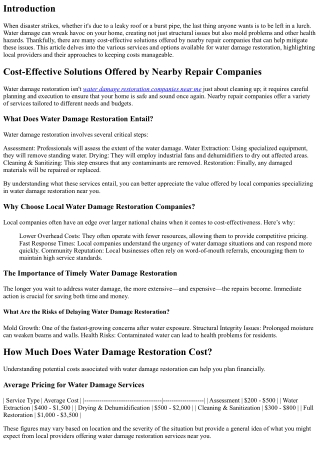 Cost-Effective Solutions Offered by Nearby Repair Companies