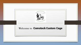 Best Bait for Live Trapping Groundhogs