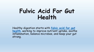 Fulvic Acid For Gut Health