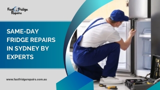 Same-day Fridge Repairs in Sydney by Experts