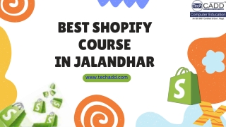 BEST SHOPIFY COURSE IN JALANDHAR