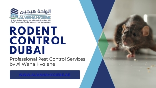 Rodent Control in Dubai