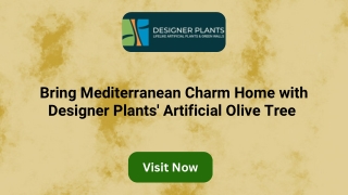 Bring Mediterranean Charm Home with Designer Plants' Artificial Olive Tree