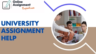 Expert University Assignment Help for Timely and Quality Submissions