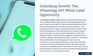 Take Your Brand Global With WhatsApp API White Label