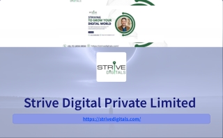 Strive Digital Private Limited