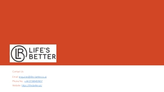 Find the Best Cat Collars in the UK for Style and Safety