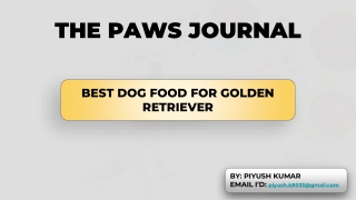 BEST  DOG FOOD FOR GOLDEN RETRIEVER