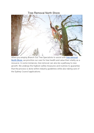 Tree Removal North Shore