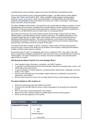Last Mile Delivery Drones Market