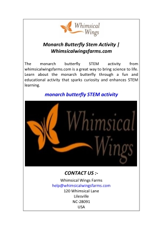 Monarch Butterfly Stem Activity  Whimsicalwingsfarms.com