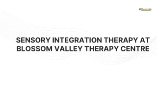 Sensory Integration Therapy at Blossom Valley Therapy Centre