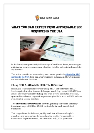 What You can Expect from Affordable SEO Services in the USA