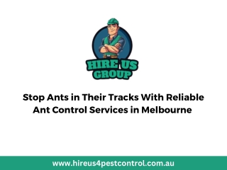Stop Ants in Their Tracks With Reliable Ant Control Services in Melbourne