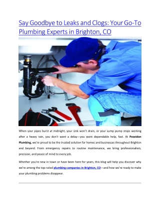 Say Goodbye to Leaks and Clogs