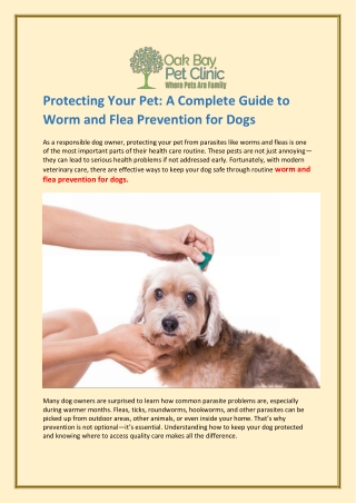 Protecting Your Pet A Complete Guide to Worm and Flea Prevention for Dogs