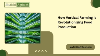 How Vertical Farming Is Revolutionizing Food Production