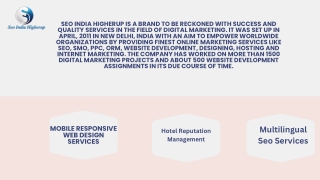 Local Business Listing Packages India-Seo india higherup