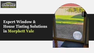 Expert Window & House Tinting Solutions in Morphett Vale