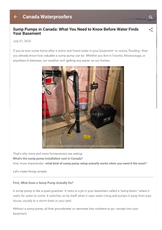 Sump Pumps in Canada What You Need to Know Before Water Finds Your Basement