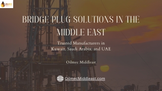 Leading Bridge Plug Manufacturers in the Middle East — Oilmec Middleast