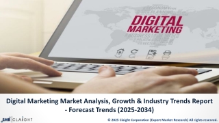 Digital Marketing Market Growth Report | CAGR, Trends, Forecast 2034