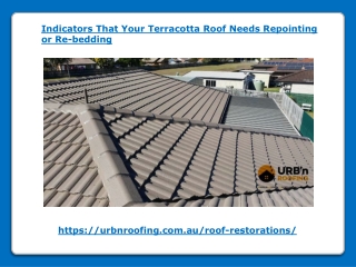Indicators That Your Terracotta Roof Needs Repointing or Re-bedding