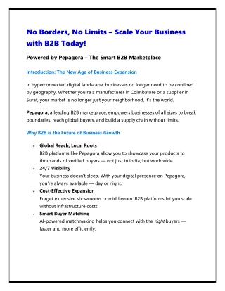 No Borders, No Limits – Scale Your Business with B2B Today!