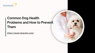 Common Dog Health Problems and How to Prevent Them