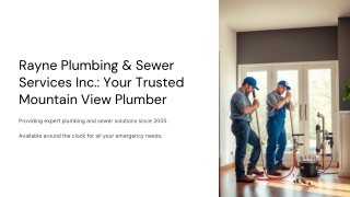 Rayne-Plumbing-and-Sewer-Services-Inc-Your-Trusted-Mountain-View-Plumber