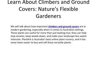 Learn About Climbers and Ground Covers_ Nature's Flexible Gardeners