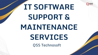 IT Software Support & Maintenance Services