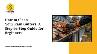 How to Clean Your Rain Gutters: A Step-by-Step Guide for Beginners