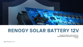 Renogy Solar Battery 12V