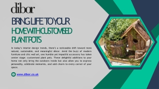 Bring Life to Your Home with Customised Plant Pots