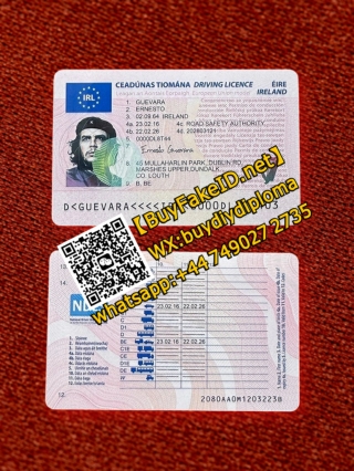 怎样获得爱尔兰驾照 get an Iowa driver's license in the United States 高仿爱尔兰驾照1:1复刻