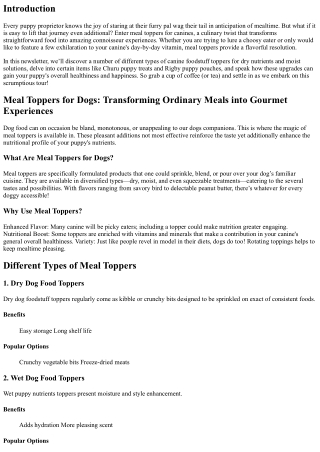 Meal Toppers for Dogs: Transforming Ordinary Meals into Gourmet Experiences