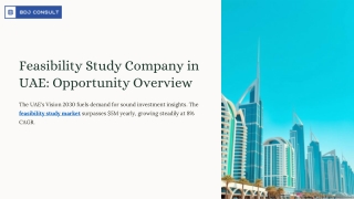 Feasibility Study Company in UAE Opportunity Overview