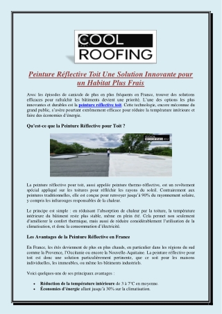 Peinture Réflective Toit Une Solution Innovante pour un Habitat Plus Frais