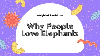 Buy a Cute Weighted Plush Elephant Online